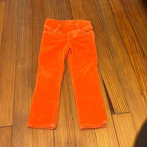 Orange velveteen anthem of the ants pants